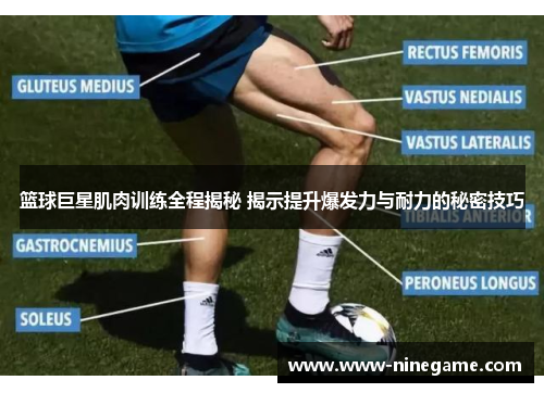 篮球巨星肌肉训练全程揭秘 揭示提升爆发力与耐力的秘密技巧
