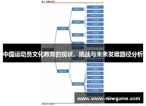 中国运动员文化教育的现状、挑战与未来发展路径分析