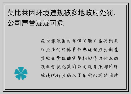 莫比莱因环境违规被多地政府处罚，公司声誉岌岌可危